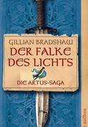 Der Falke des Lichts