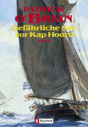 Gefährliche See vor Kap Hoorn