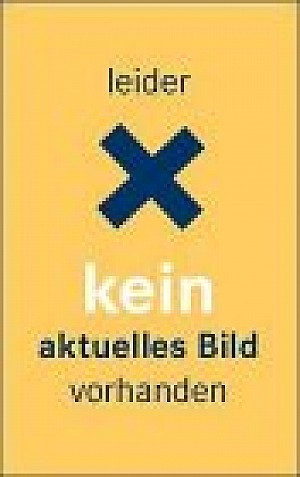 Die Raubritterin