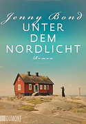 Unter dem Nordlicht