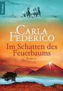 Im Schatten des Feuerbaums