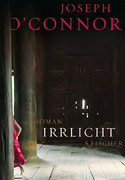 Irrlicht